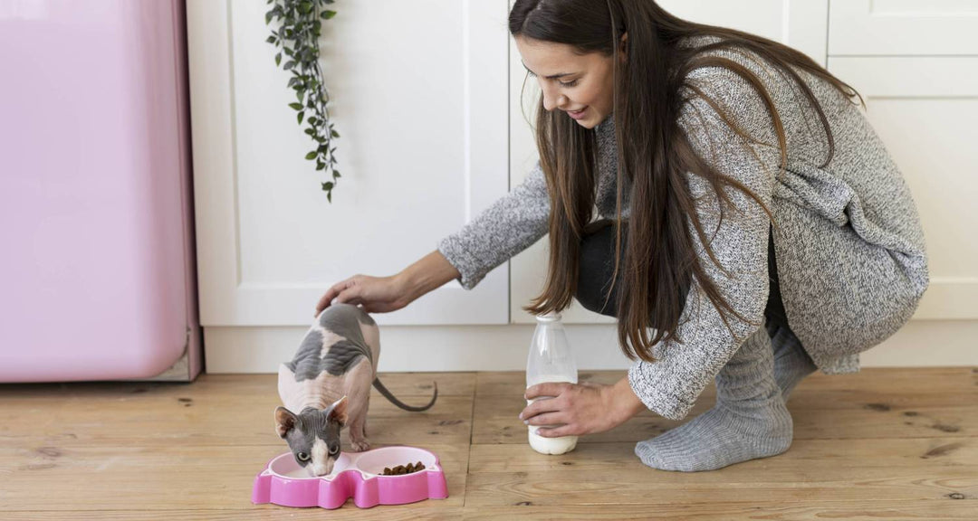 Pet Care Must-Haves for the Modern Pawrent