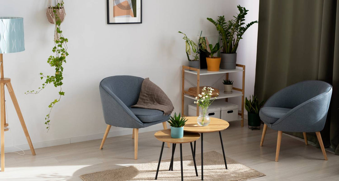 How to Elevate Home Decor Without Breaking the Bank