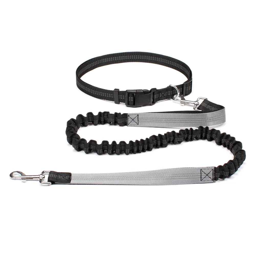 Freedom Pace Hands-Free Leash