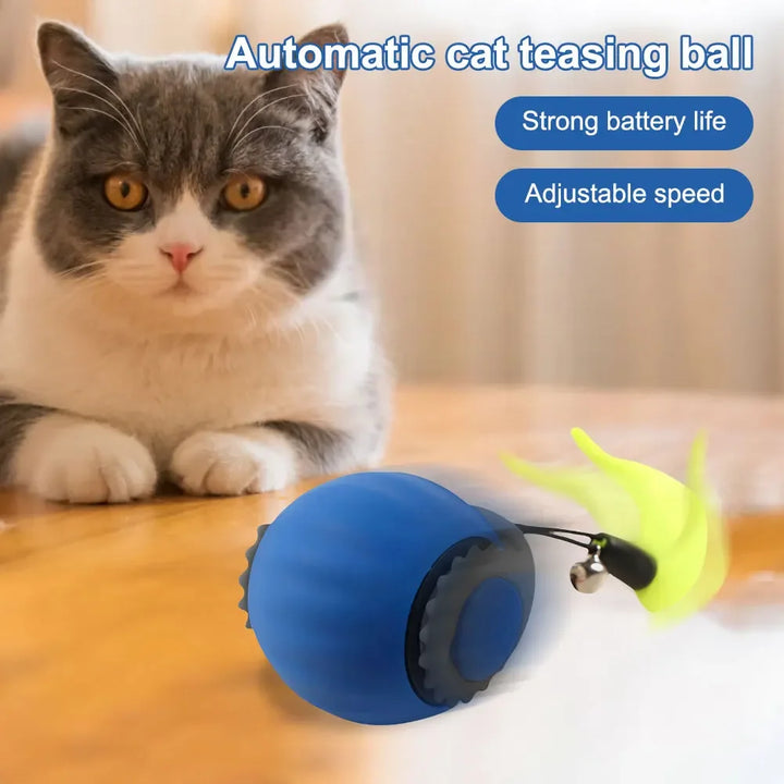 WhiskerWhirl Pet Ball
