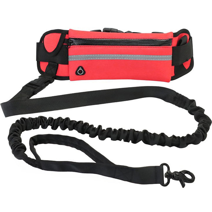 Hands Free Dog Leash Reflective Leash