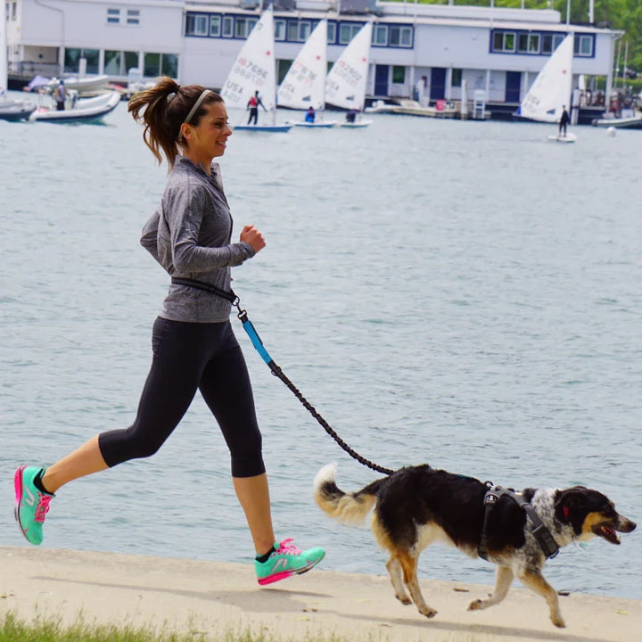 Freedom Pace Hands-Free Leash