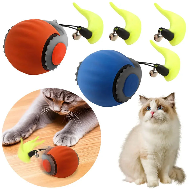 WhiskerWhirl Pet Ball