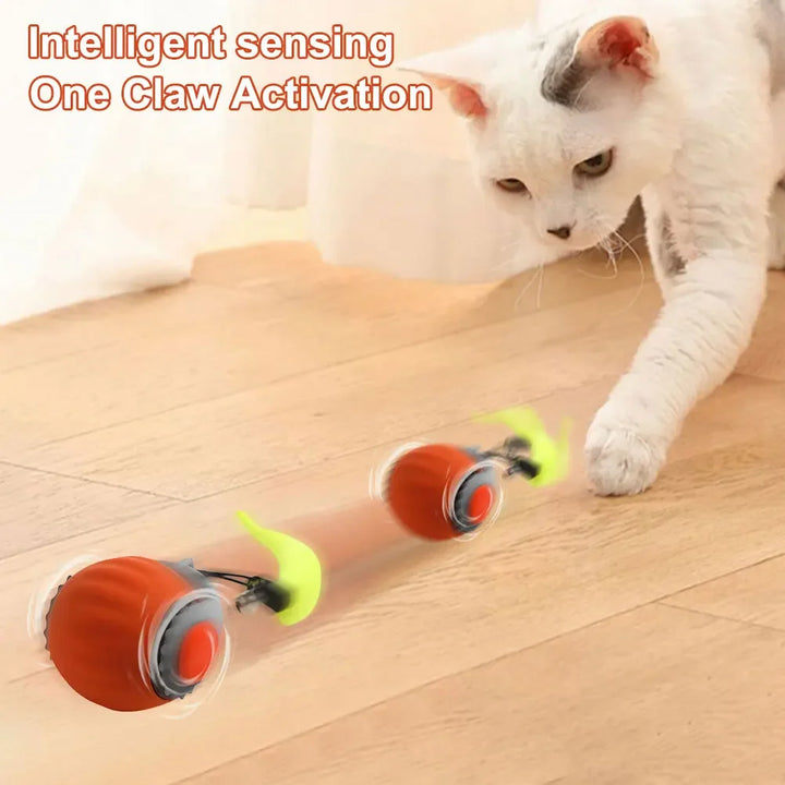 WhiskerWhirl Pet Ball