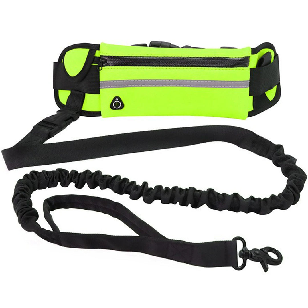 Hands Free Dog Leash Reflective Leash