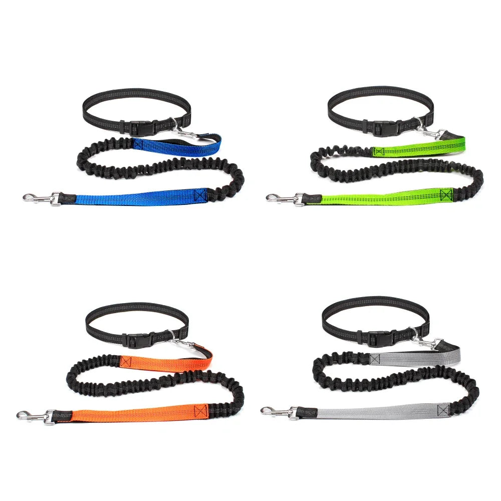 Freedom Pace Hands-Free Leash