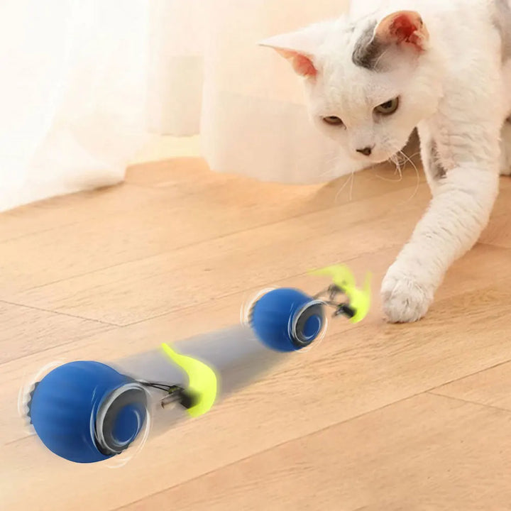WhiskerWhirl Pet Ball