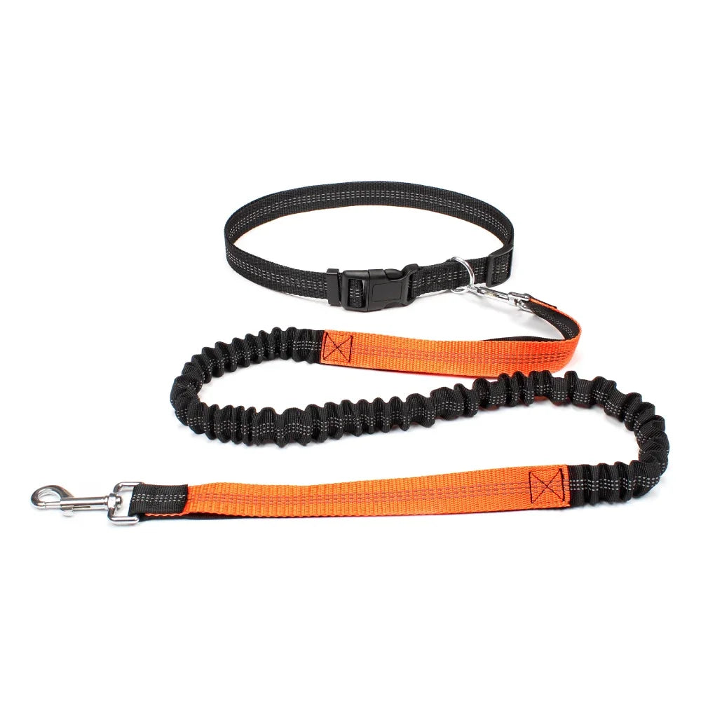 Freedom Pace Hands-Free Leash