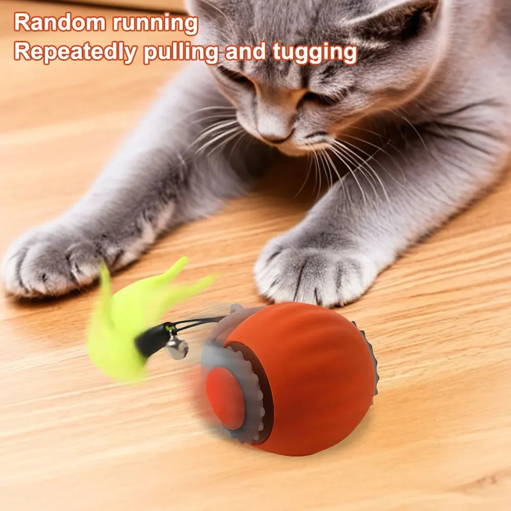 WhiskerWhirl Pet Ball