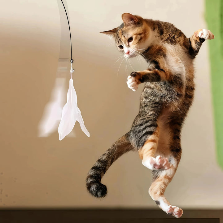 Pet Cat Toys Cute Funny Rainbow Strips Stick
