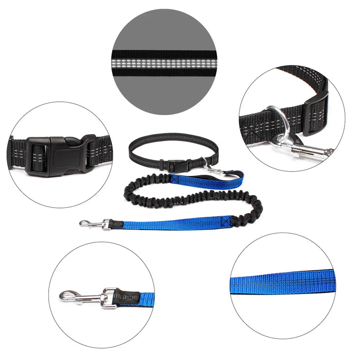 Freedom Pace Hands-Free Leash