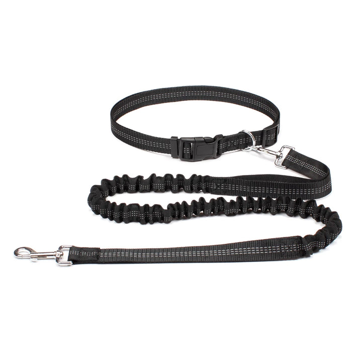 Freedom Pace Hands-Free Leash
