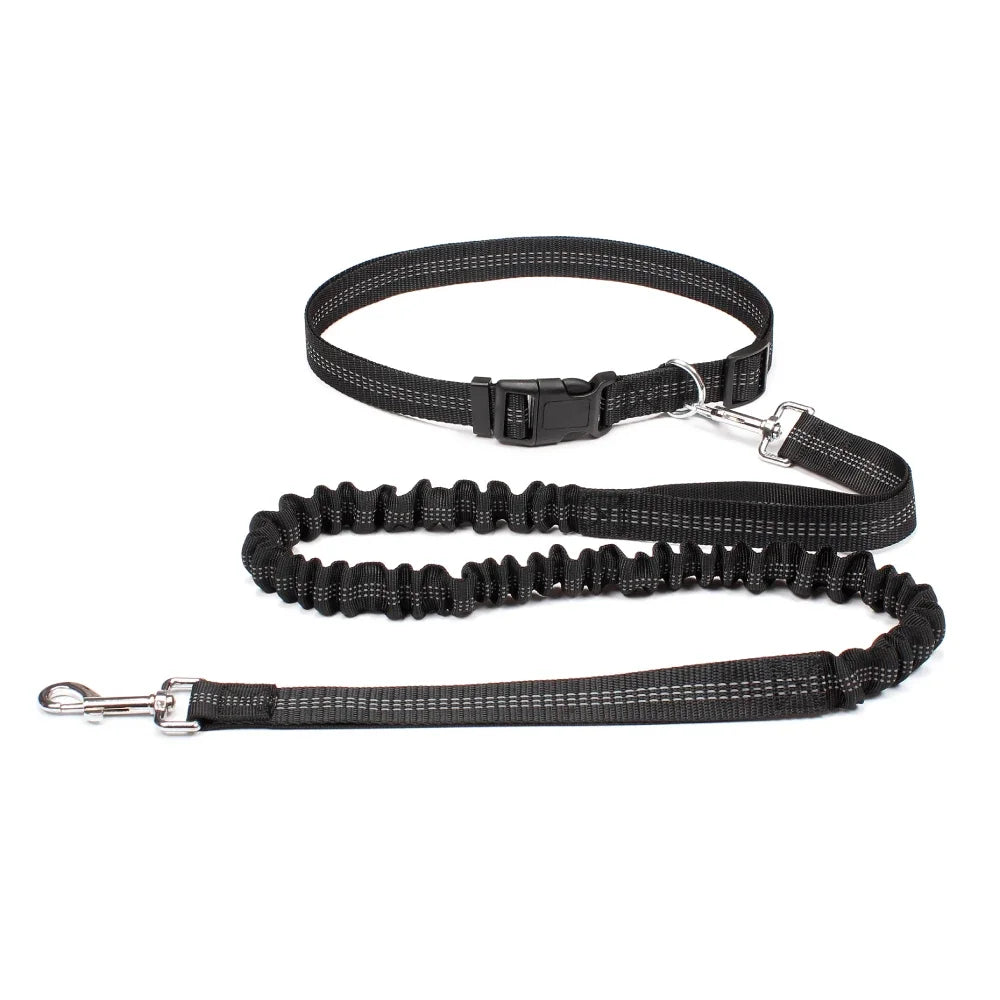 Freedom Pace Hands-Free Leash
