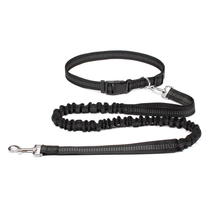 Freedom Pace Hands-Free Leash