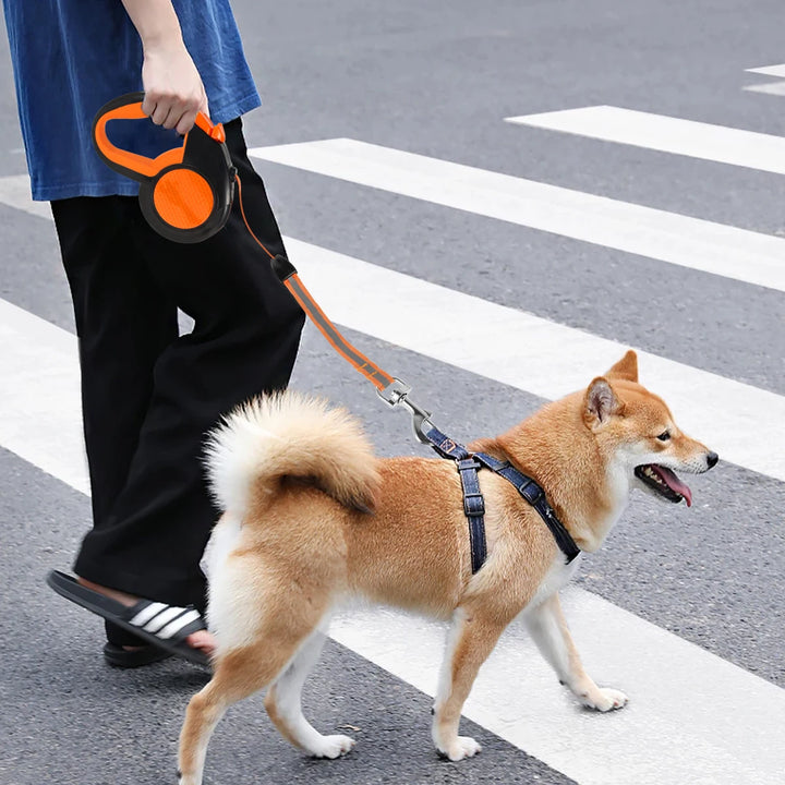 Hands Free Dog Leash Reflective Leash