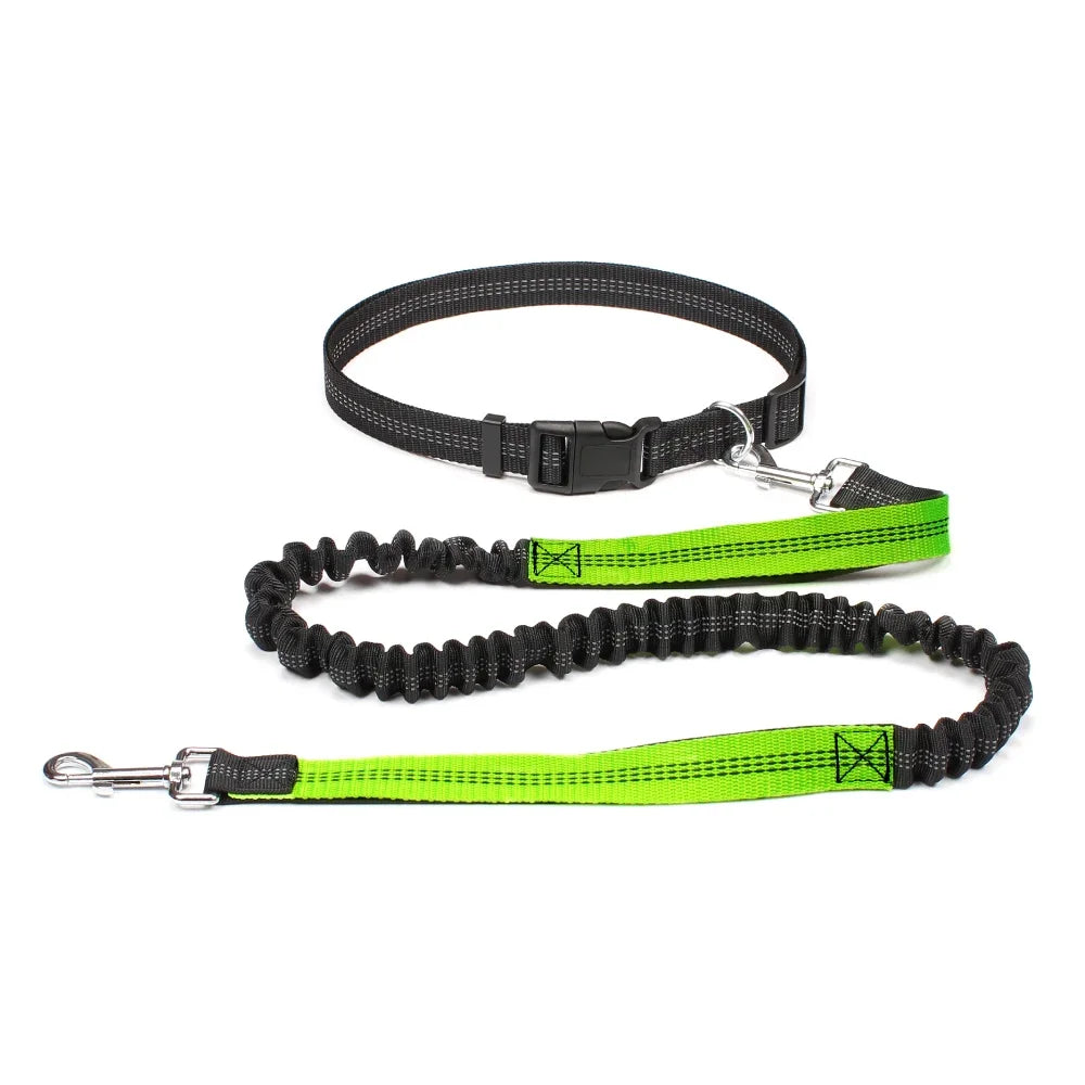 Freedom Pace Hands-Free Leash
